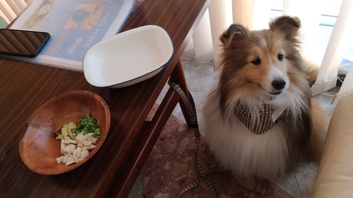 f:id:noaz-dog:20190930002850j:plain