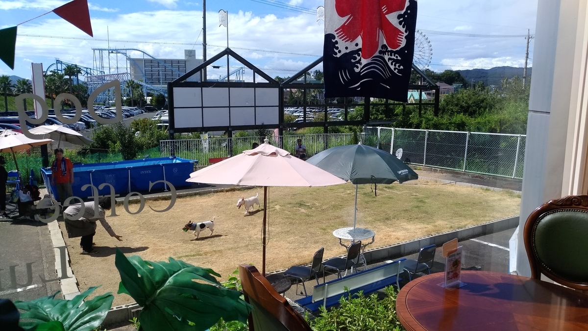 f:id:noaz-dog:20190930003124j:plain