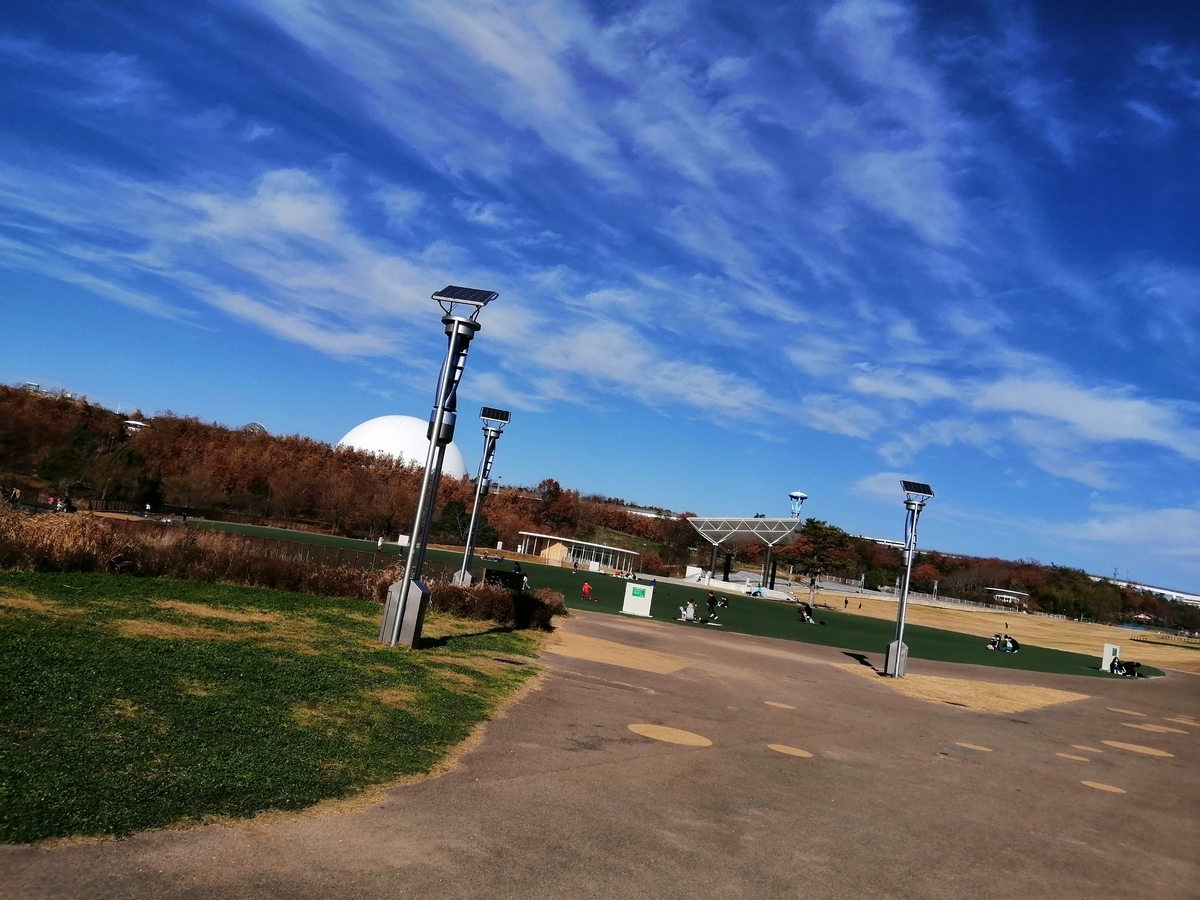 f:id:noaz-dog:20191215214342j:plain