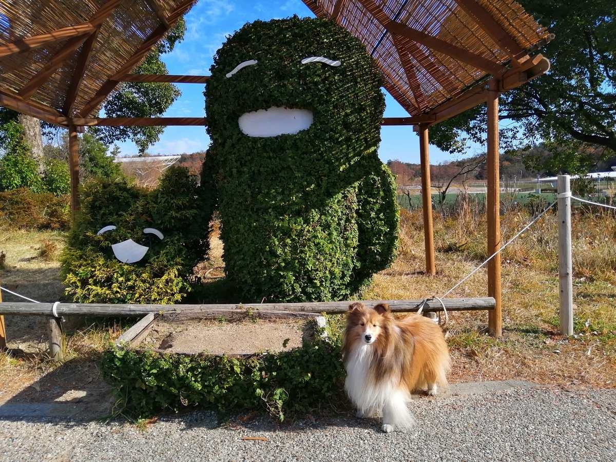 長久手市 愛 地球博記念公園 のあとまったり散歩道