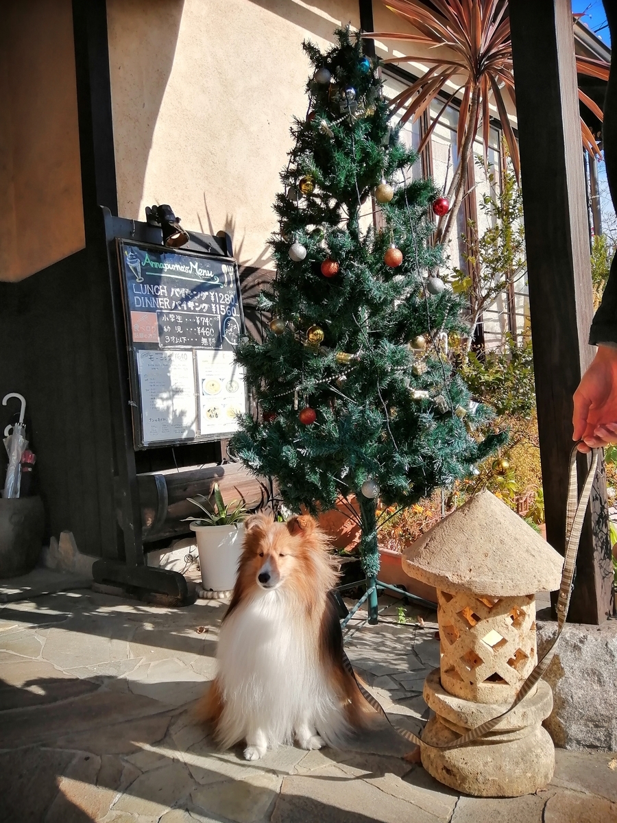 f:id:noaz-dog:20191215215005j:plain