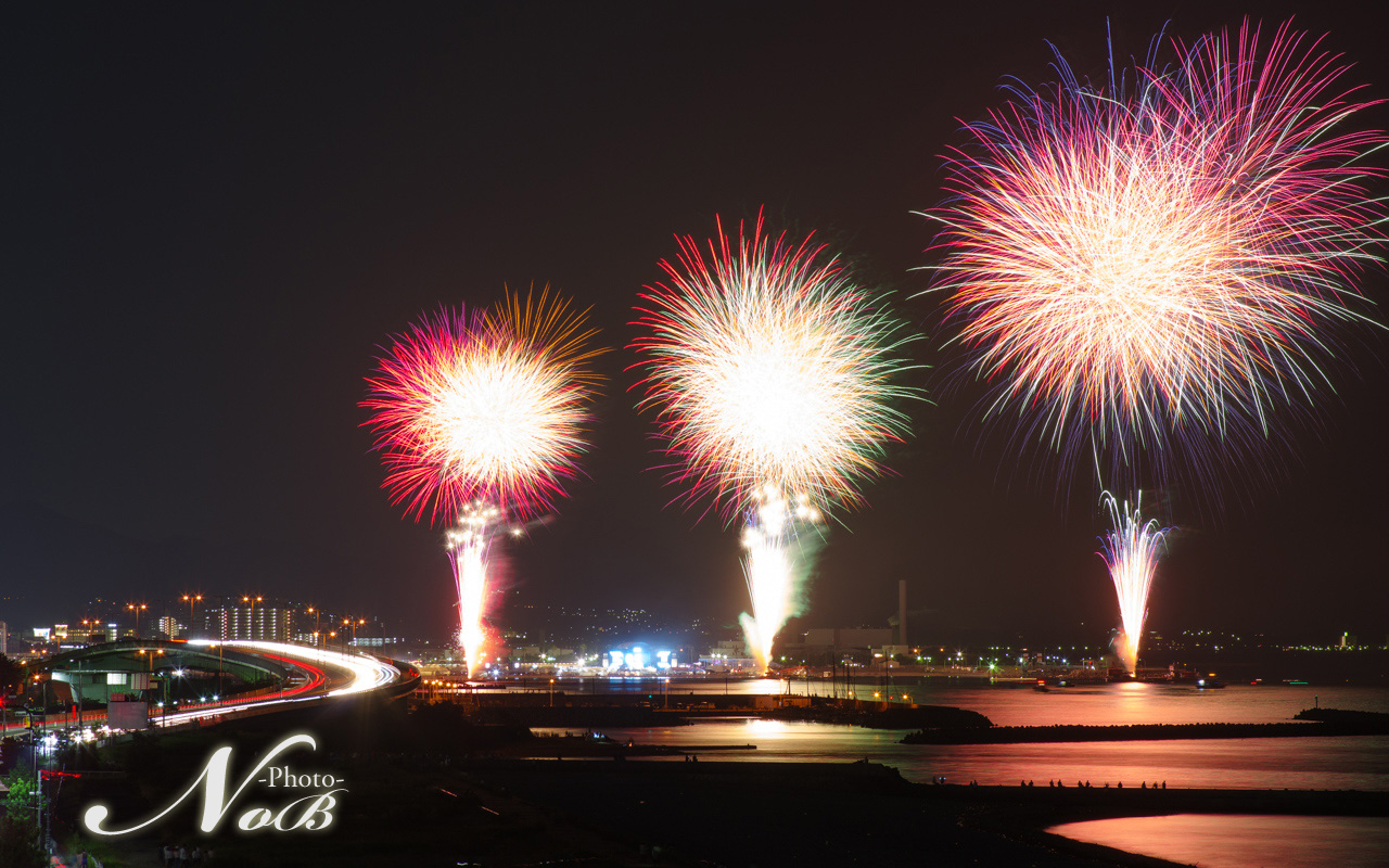 大阪泉州夏祭り17 ちびシュナぽんずとｎｏｂの記録