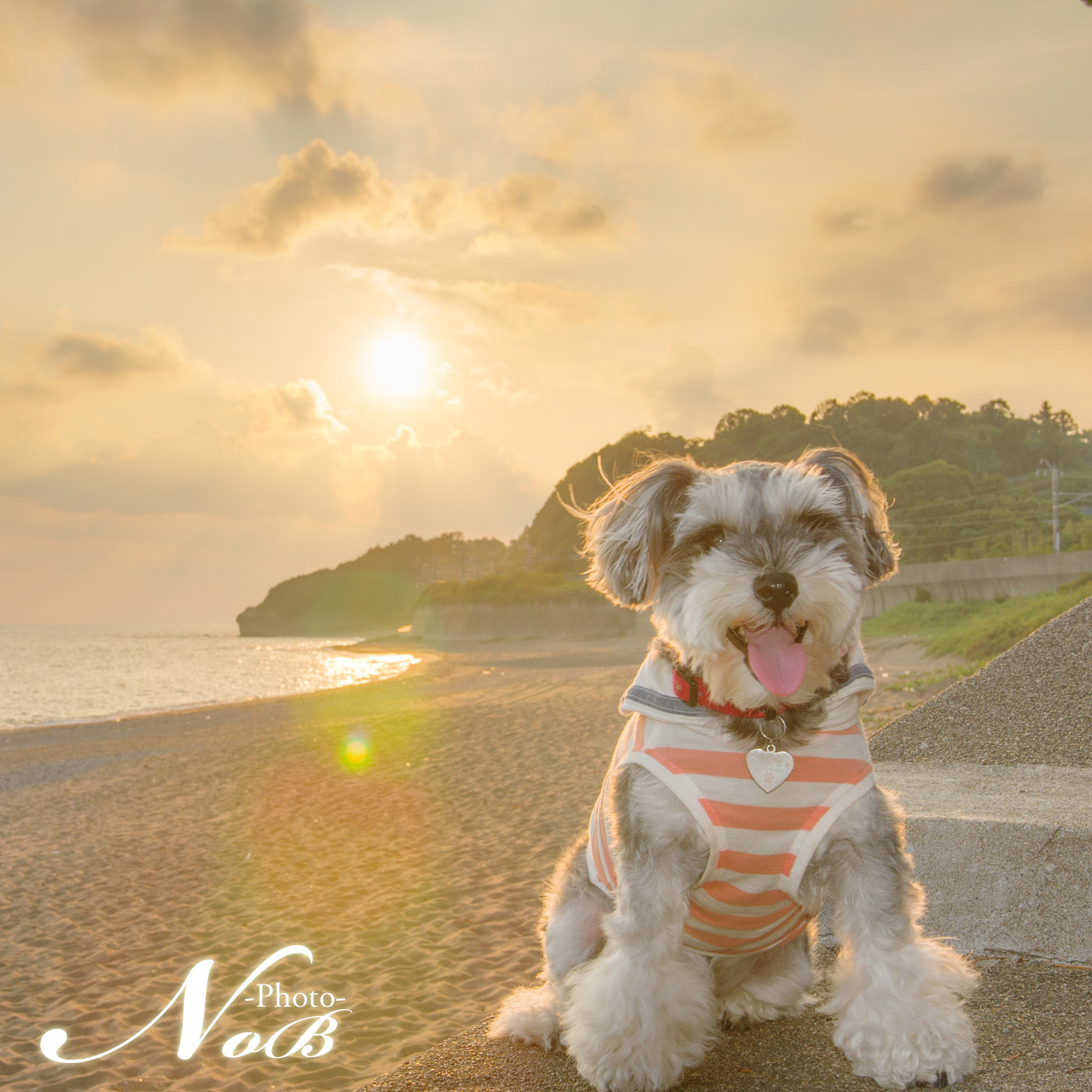 f:id:nob-ponz:20170905214413j:plain f:id:nob-ponz:20170905214413j:plain
