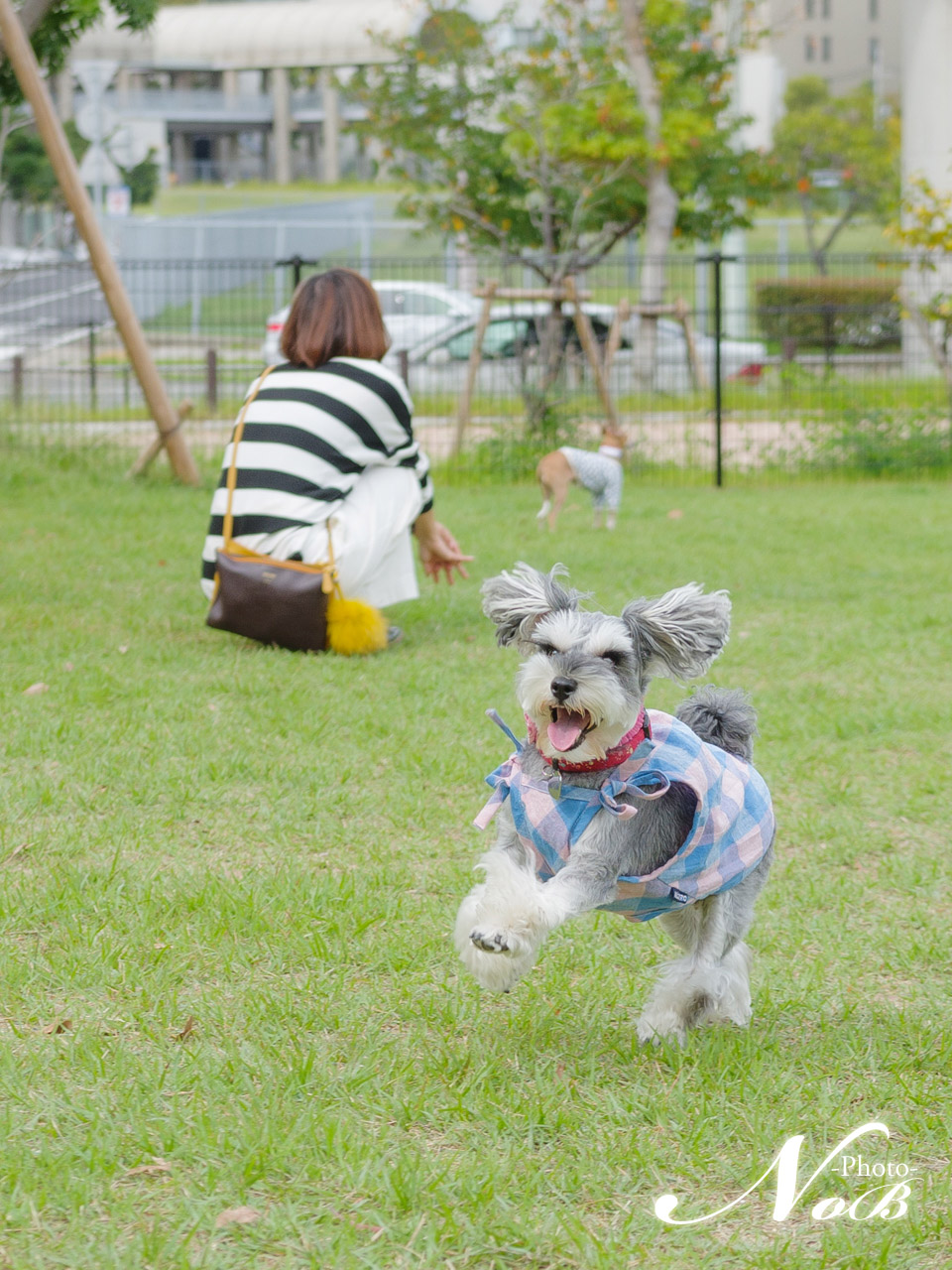 f:id:nob-ponz:20171003204039j:plain f:id:nob-ponz:20171003204039j:plain