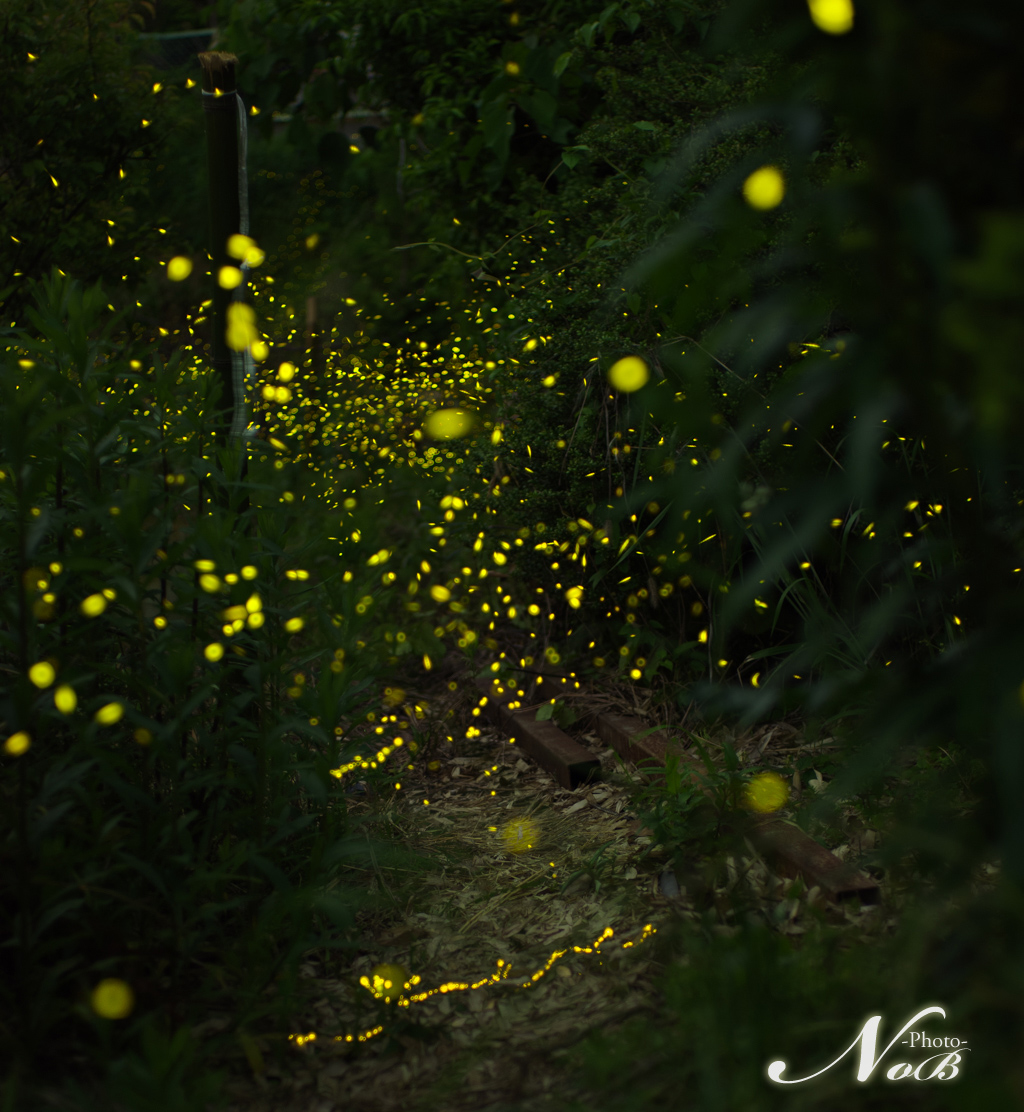 f:id:nob-ponz:20180517091553j:plain f:id:nob-ponz:20180517091553j:plain