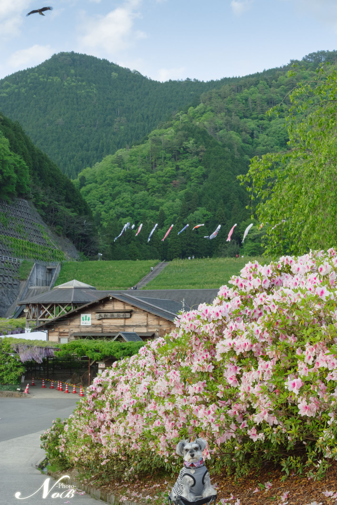 f:id:nob-ponz:20180607125031j:plain f:id:nob-ponz:20180607125031j:plain