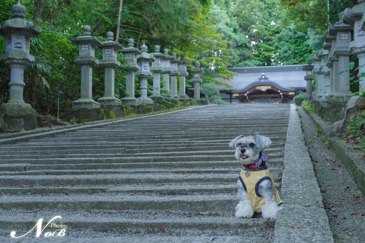 f:id:nob-ponz:20180703215542j:plain f:id:nob-ponz:20180703215542j:plain