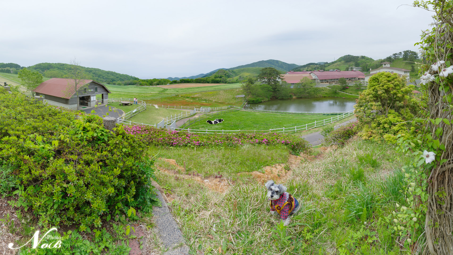 f:id:nob-ponz:20180704231046j:plain f:id:nob-ponz:20180704231046j:plain