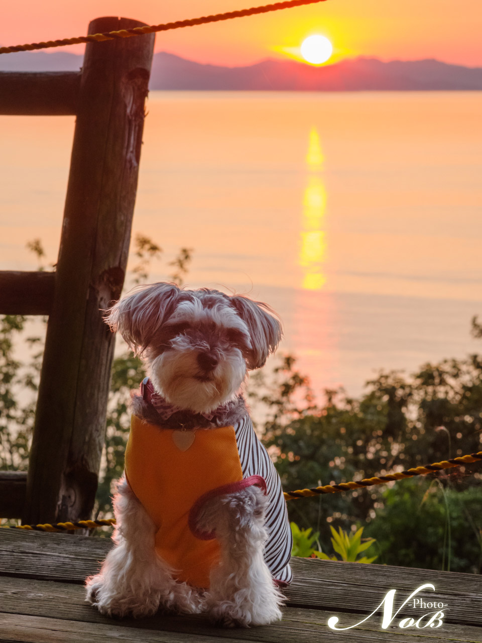 f:id:nob-ponz:20180707131318j:plain f:id:nob-ponz:20180707131318j:plain