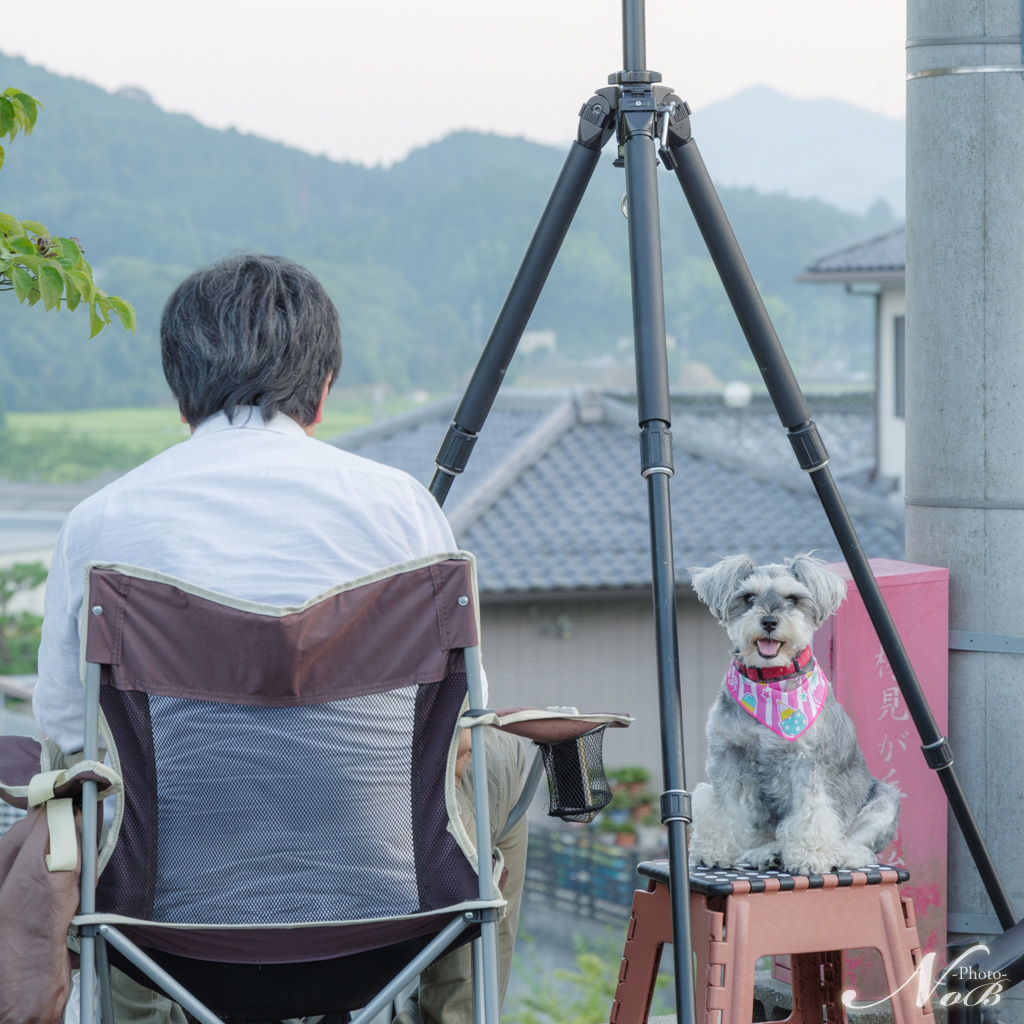 f:id:nob-ponz:20180808214043j:plain f:id:nob-ponz:20180808214043j:plain