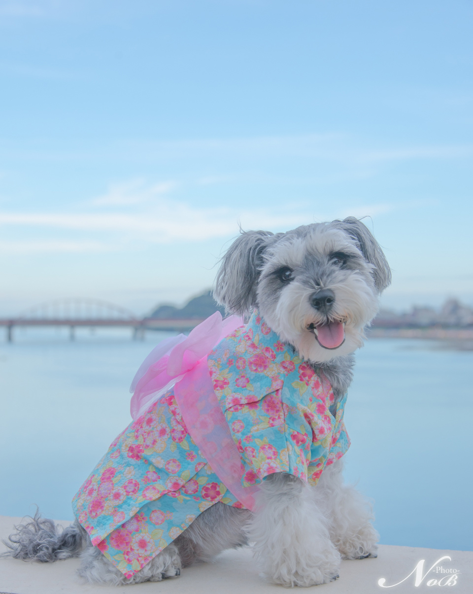 f:id:nob-ponz:20180822184437j:plain f:id:nob-ponz:20180822184437j:plain