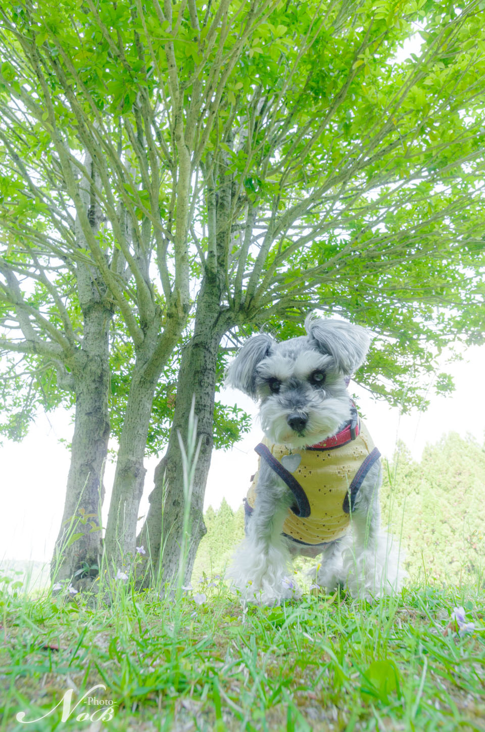f:id:nob-ponz:20180920062724j:plain f:id:nob-ponz:20180920062724j:plain