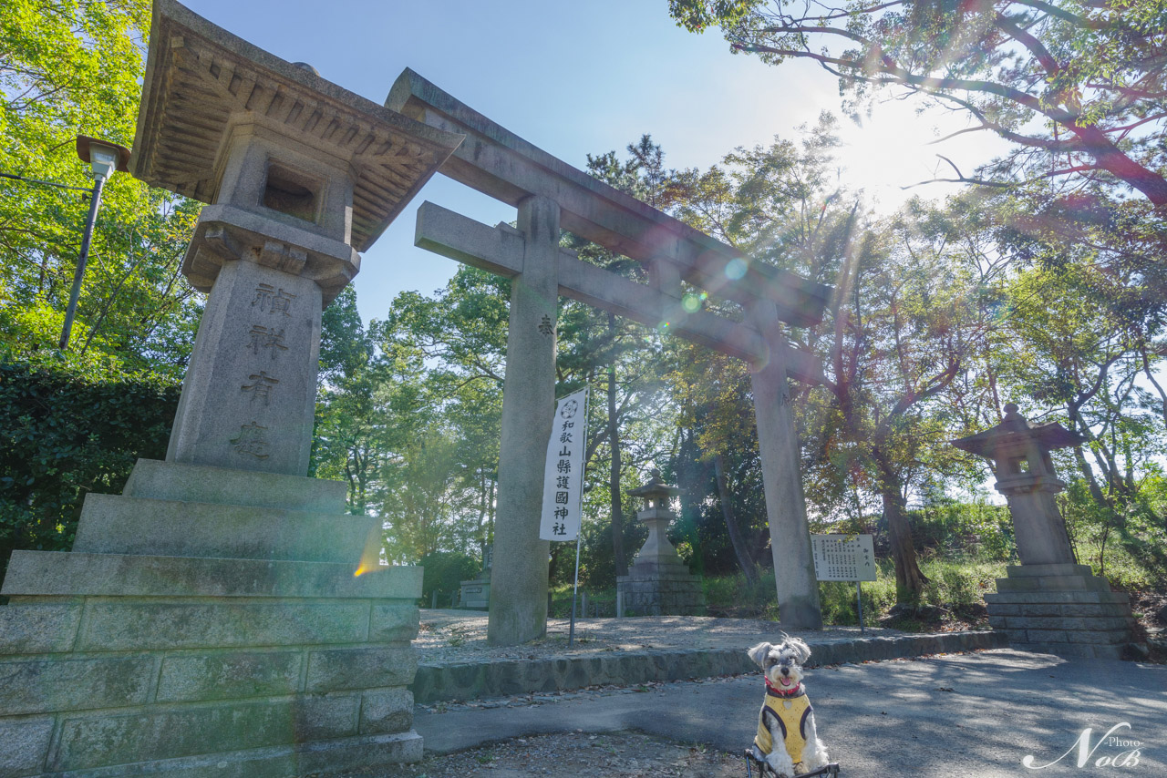 f:id:nob-ponz:20181009233150j:plain f:id:nob-ponz:20181009233150j:plain