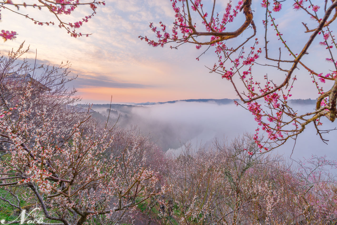 f:id:nob-ponz:20190319180331j:plain