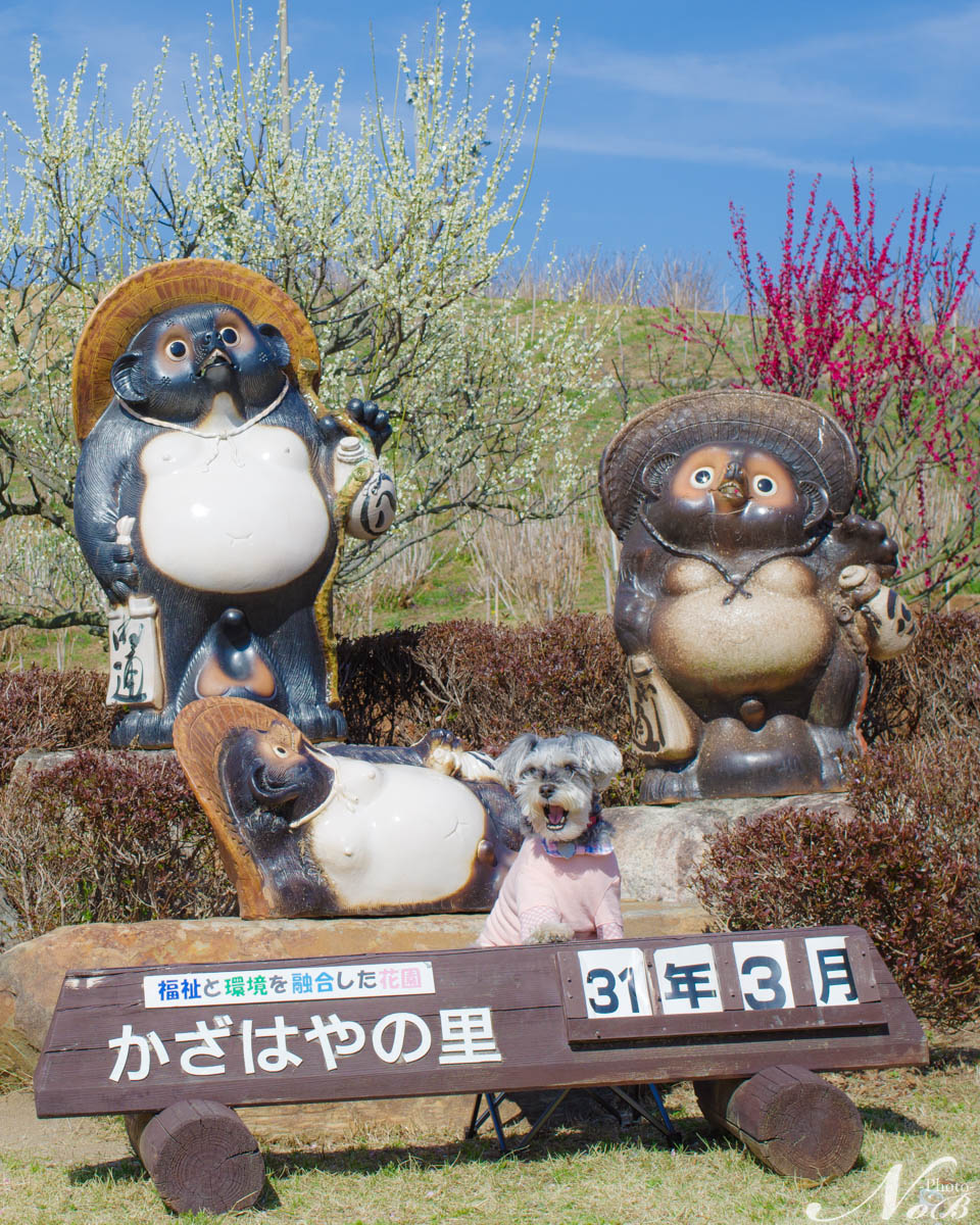 f:id:nob-ponz:20190320230600j:plain