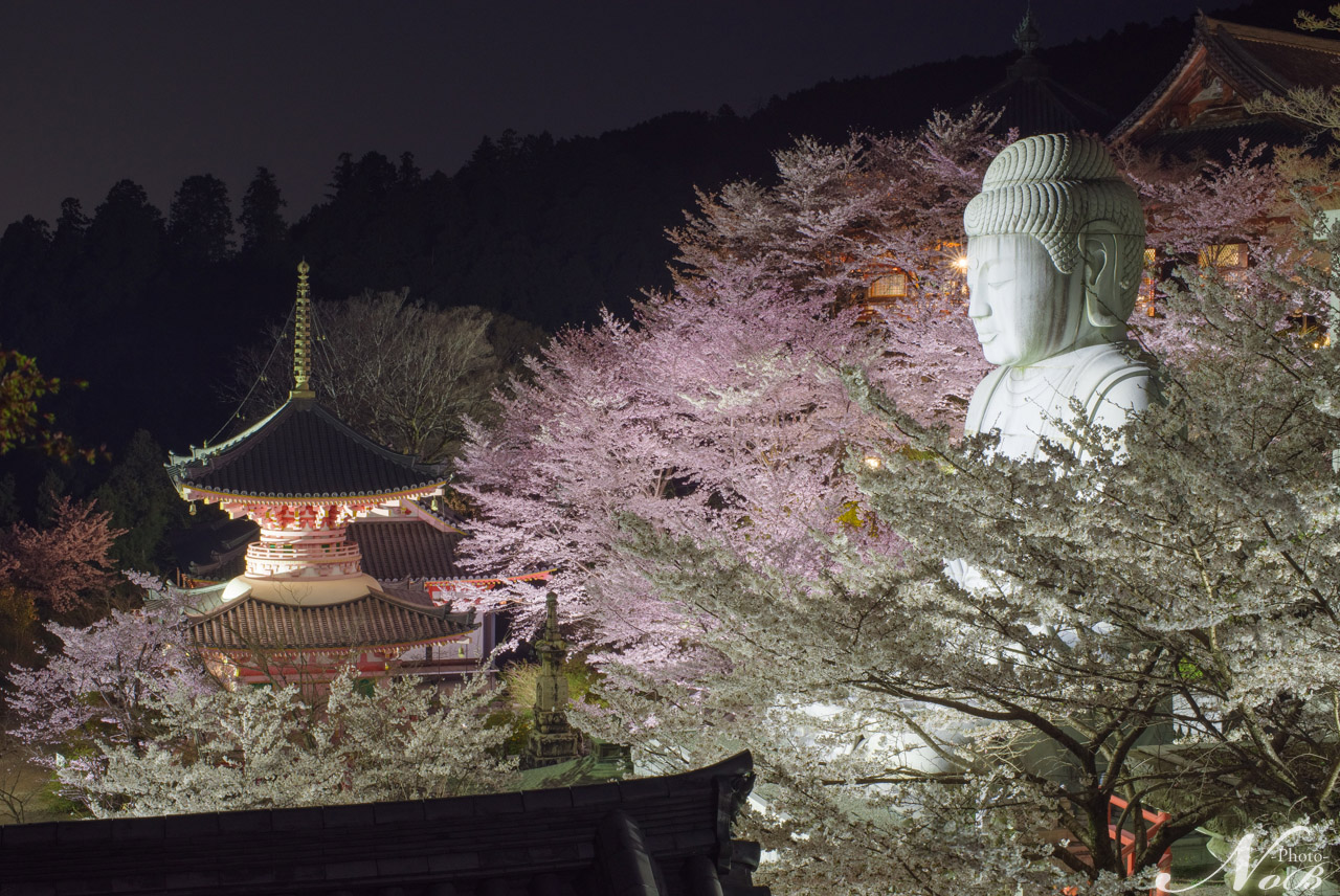 f:id:nob-ponz:20190407233347j:plain f:id:nob-ponz:20190407233347j:plain