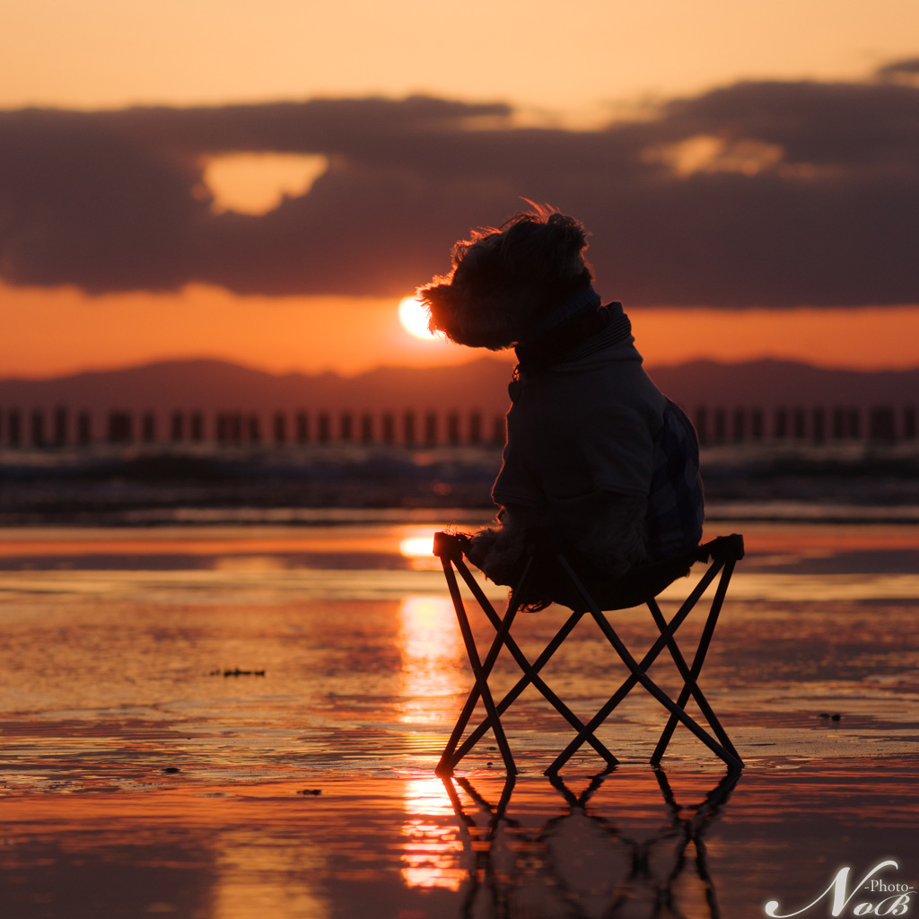 f:id:nob-ponz:20190428235836j:plain f:id:nob-ponz:20190428235836j:plain