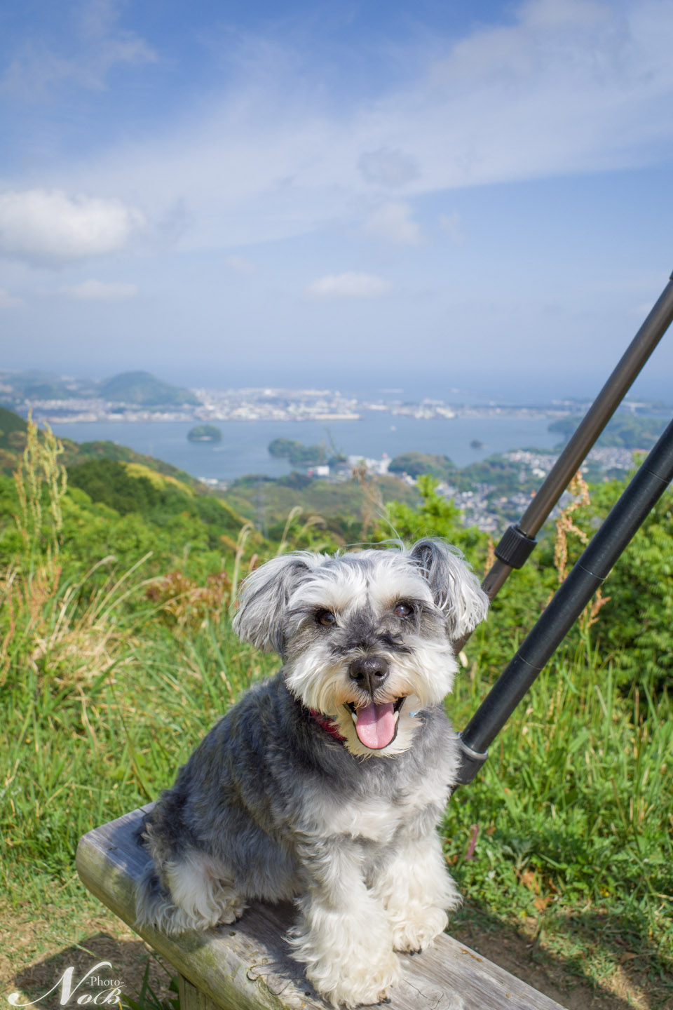 f:id:nob-ponz:20190517074250j:plain f:id:nob-ponz:20190517074250j:plain