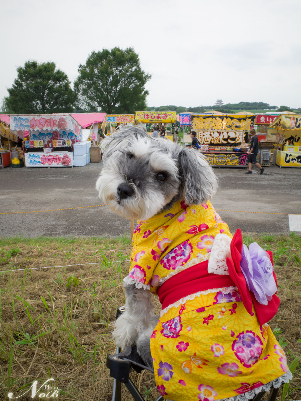 f:id:nob-ponz:20190716215938j:plain f:id:nob-ponz:20190716215938j:plain