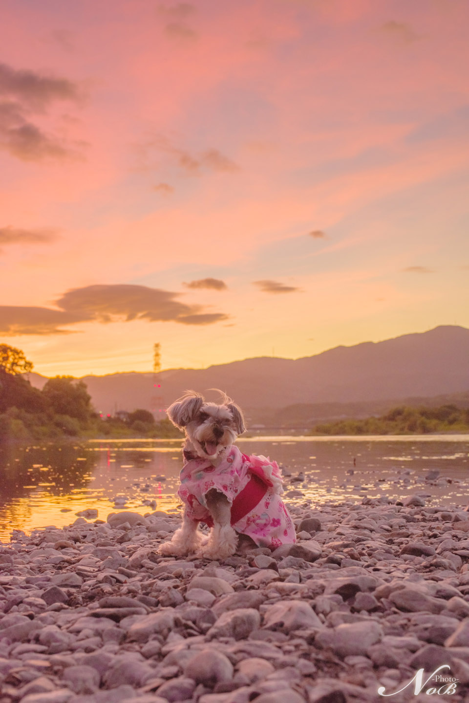 f:id:nob-ponz:20190814221005j:plain f:id:nob-ponz:20190814221005j:plain