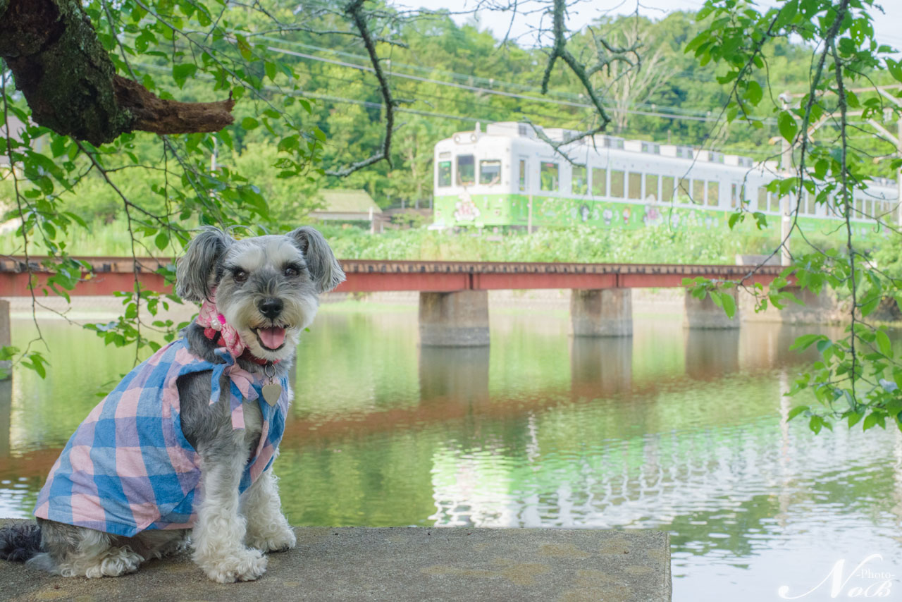 f:id:nob-ponz:20190820162935j:plain f:id:nob-ponz:20190820162935j:plain