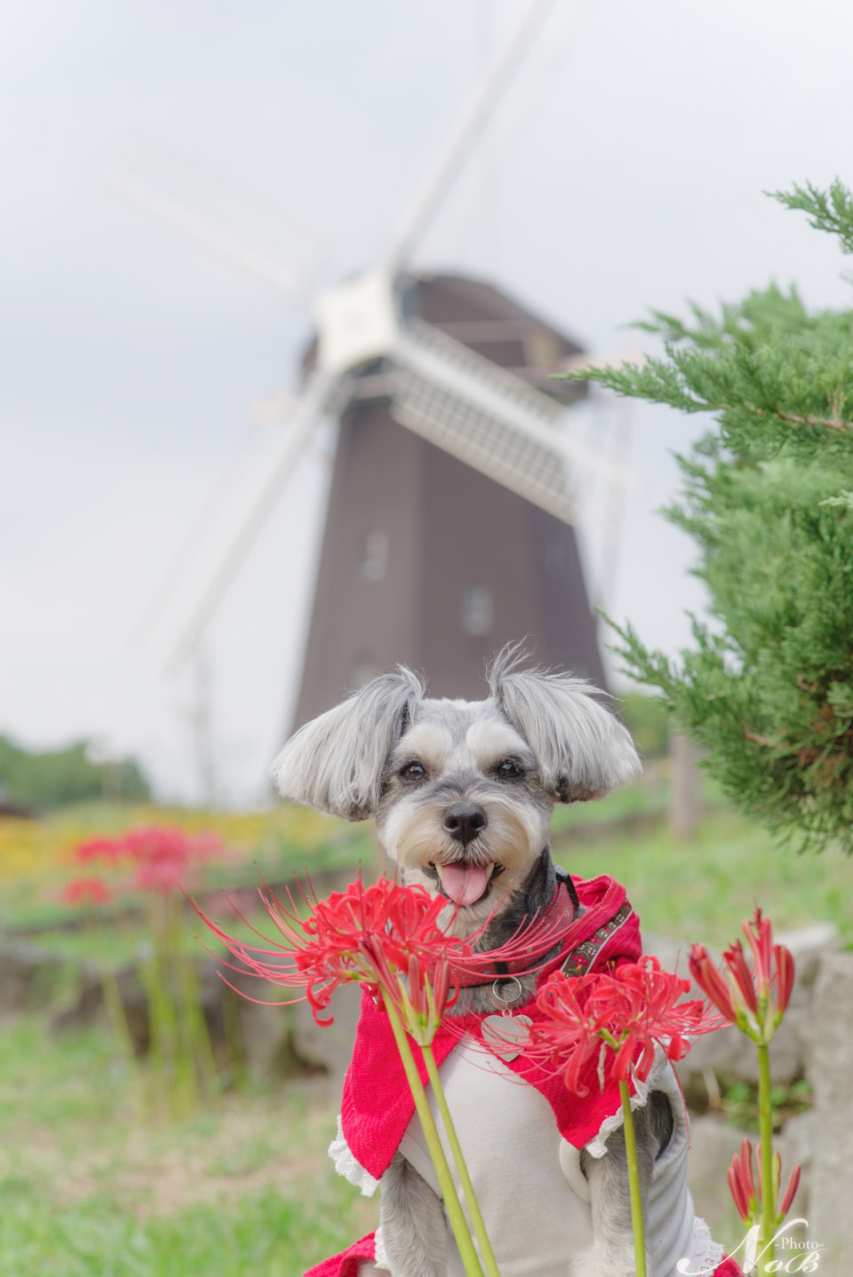 f:id:nob-ponz:20191009204718j:plain f:id:nob-ponz:20191009204718j:plain