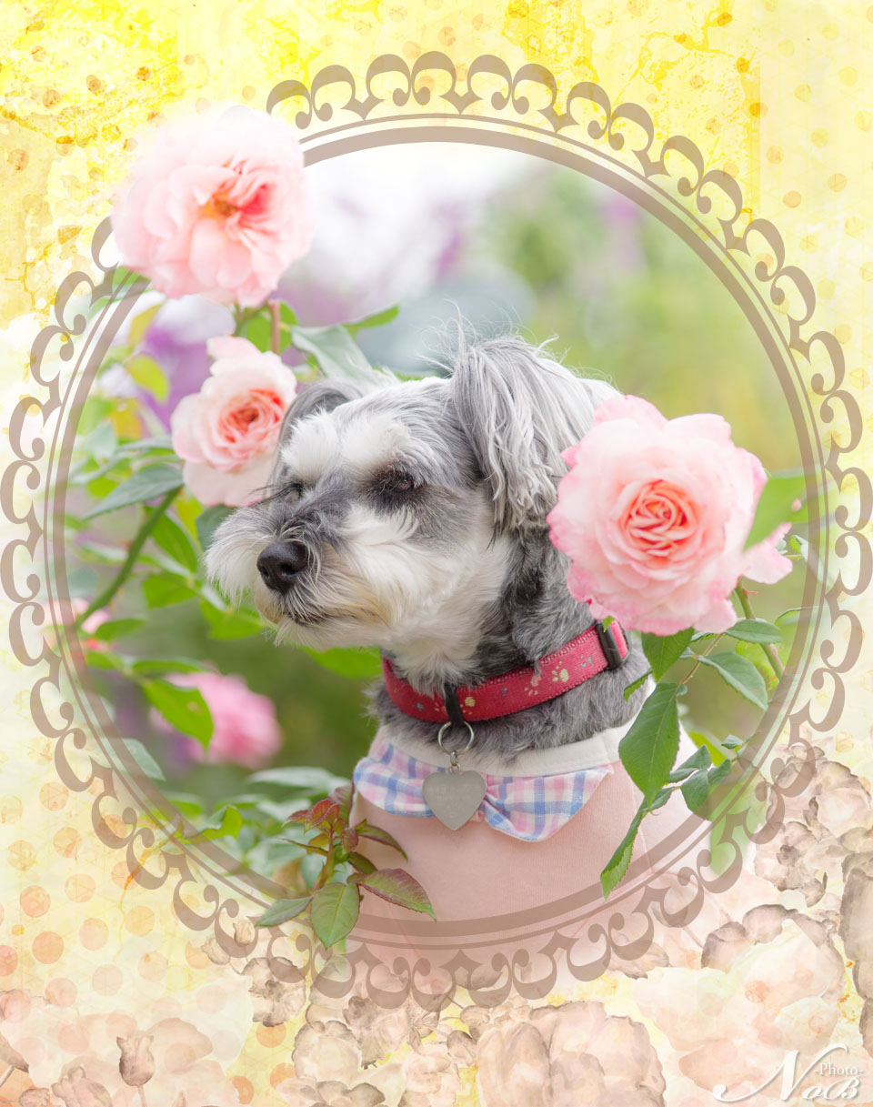f:id:nob-ponz:20191102224159j:plain f:id:nob-ponz:20191102224159j:plain