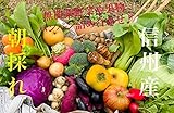 YORIDORI 【朝採れ】 信州産 野菜 と 果物 詰め合わせ セット 無農薬 栽培