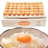 サン・ファーム あかねちゃん 生卵 鶏卵 朝採り 国産 九州 熊本 (45玉(35玉+破損保障10個))