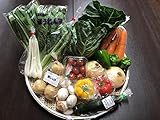 野菜セット 茨城県・千葉県産 農家さん直送野菜 10品目以上 夏季クール便対応