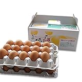 ブログ に 書きたくなる 超濃厚 卵 養鶏場 直送 美味たま(30個)