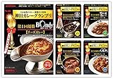 【セット版売】S&B 神田カレーグランプリカレー 5種類
