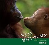クリエーター情報なし