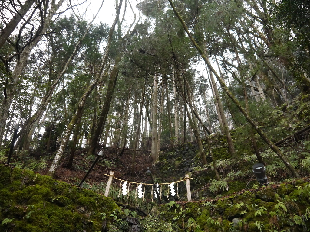 貴船神社 森 空気 澄んでいる
