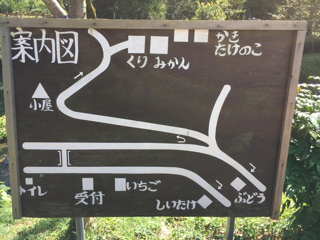 みどり農園の案内図