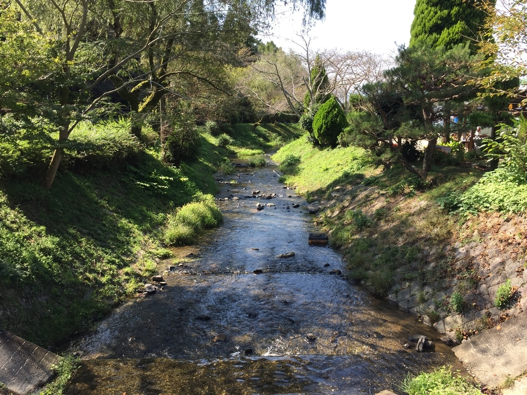 みどり農園の川