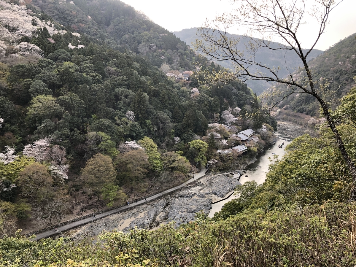 嵐山竹林 京都嵐山 亀山公園