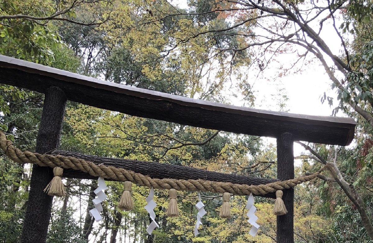 野宮神社 黒木鳥居
