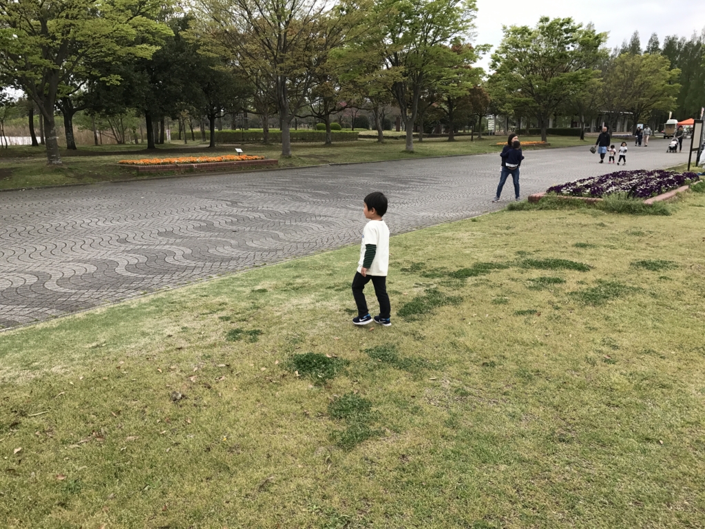 f:id:nobeeernolife:20170427073345j:plain