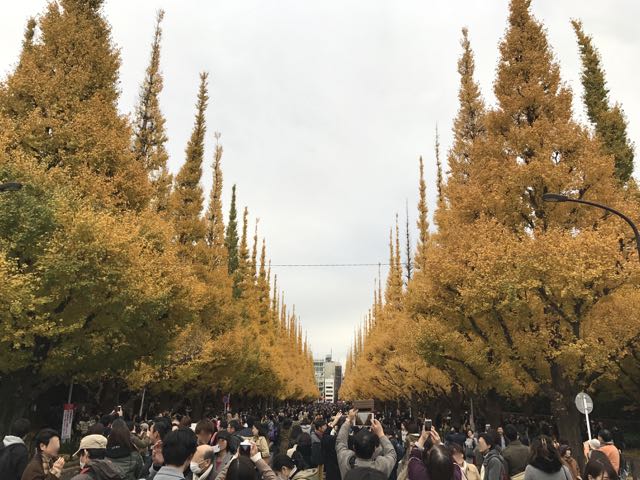 f:id:nobie-t:20161123231712j:plain