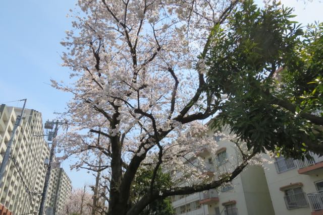 f:id:nobie-t:20170405230824j:plain