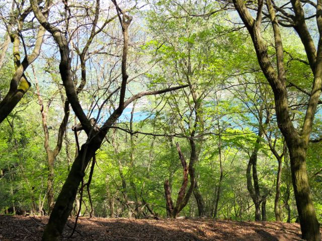 f:id:nobie-t:20180423154015j:plain f:id:nobie-t:20180423154015j:plain