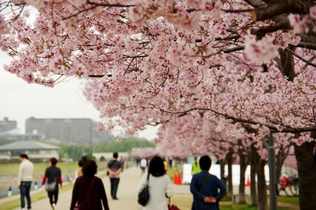 f:id:nobikoto:20210203150634j:plain