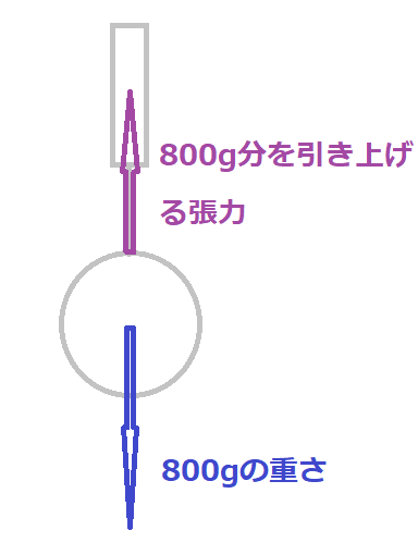 理科 物理 中学受験にもよく出る浮力 浮力と水圧の関係って ノビコト