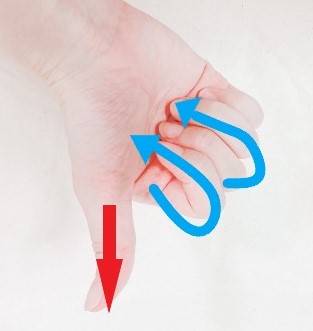 f:id:nobikoto:20210915120545j:plain