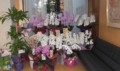 20090124163551