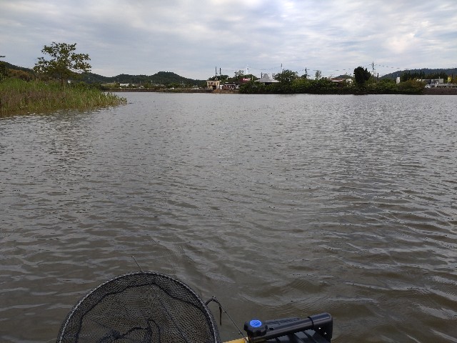 f:id:nobinson:20240520215636j:image f:id:nobinson:20240520215636j:image