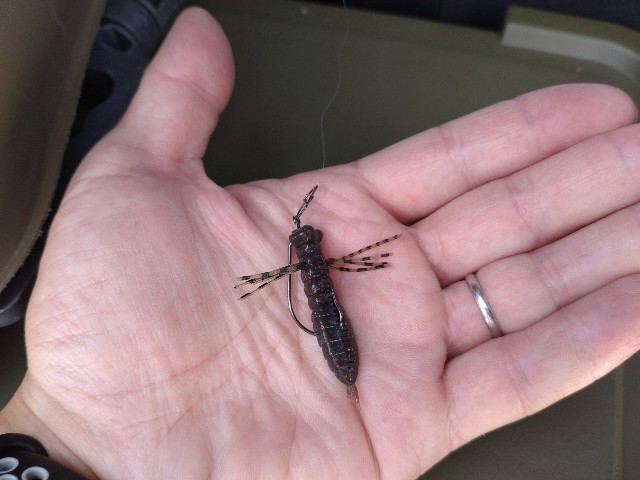 f:id:nobinson:20240721134058j:image f:id:nobinson:20240721134058j:image