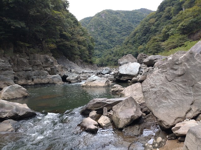 f:id:nobinson:20240923070223j:image f:id:nobinson:20240923070223j:image