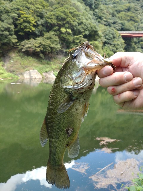 f:id:nobinson:20240923072021j:image f:id:nobinson:20240923072021j:image